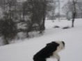 /album/les-animaux/img-0433-jpg/